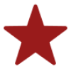 star filled icon for rating